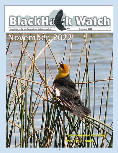 Blackhawk Watch November 2022